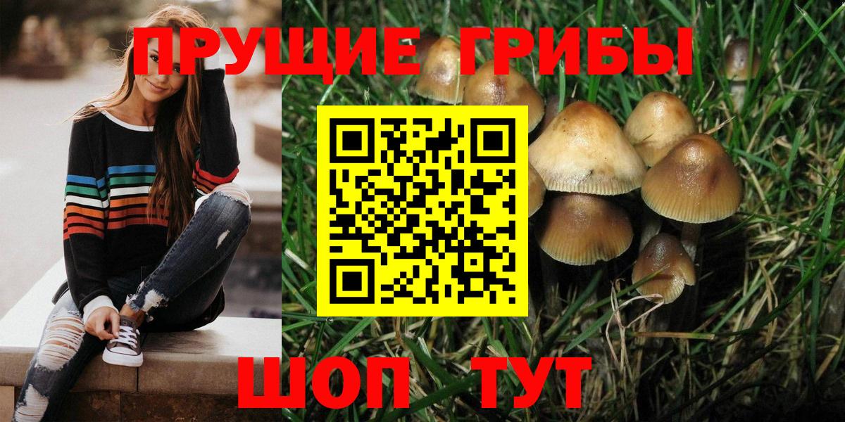 Галлюциногенные грибы Cubensis  Вход с VPN  Галлюциногенные грибы Psilocybe  Владивосток 