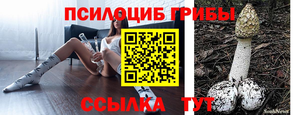 Галлюциногенные грибы Psilocybe Владивосток